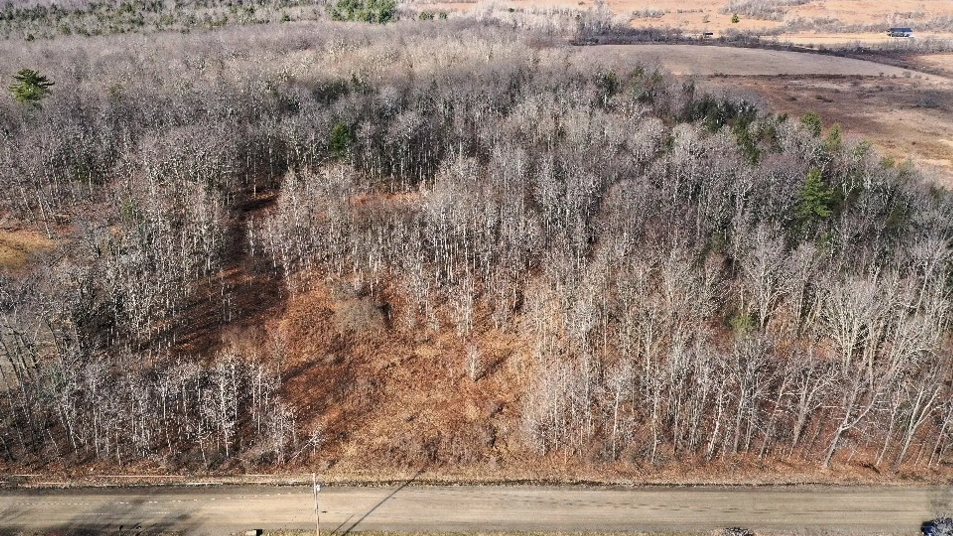 Property at South Road, Rathbone, NY 14801 4