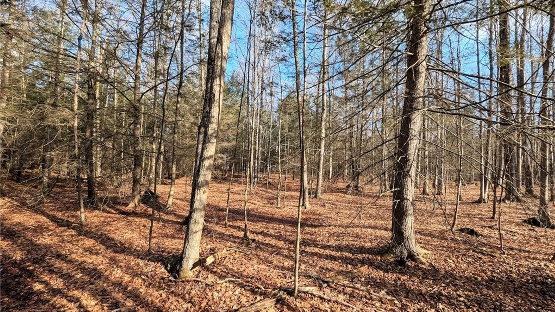 Property at South Road, Rathbone, NY 14801 6