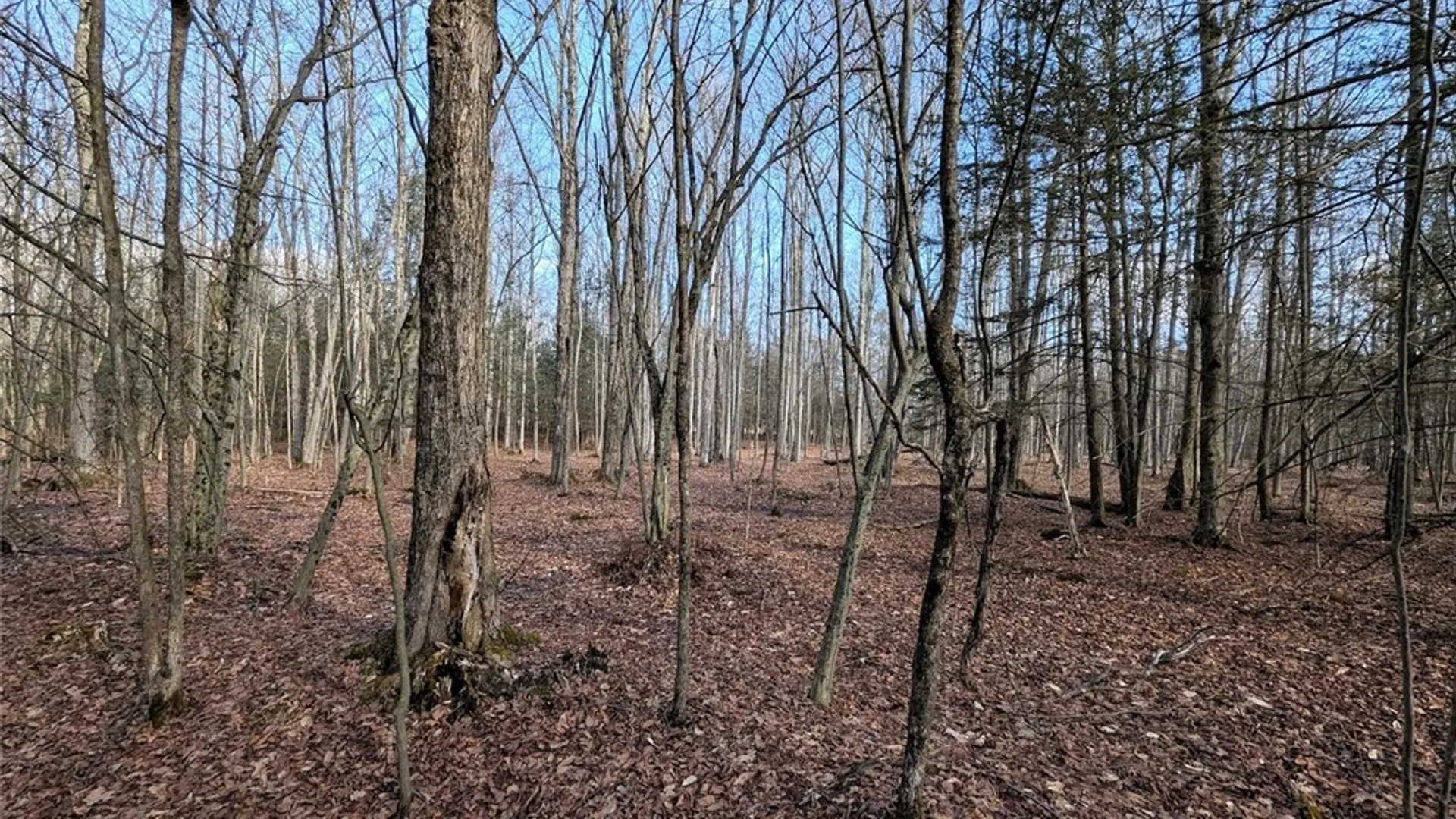 Property at South Road, Rathbone, NY 14801 8