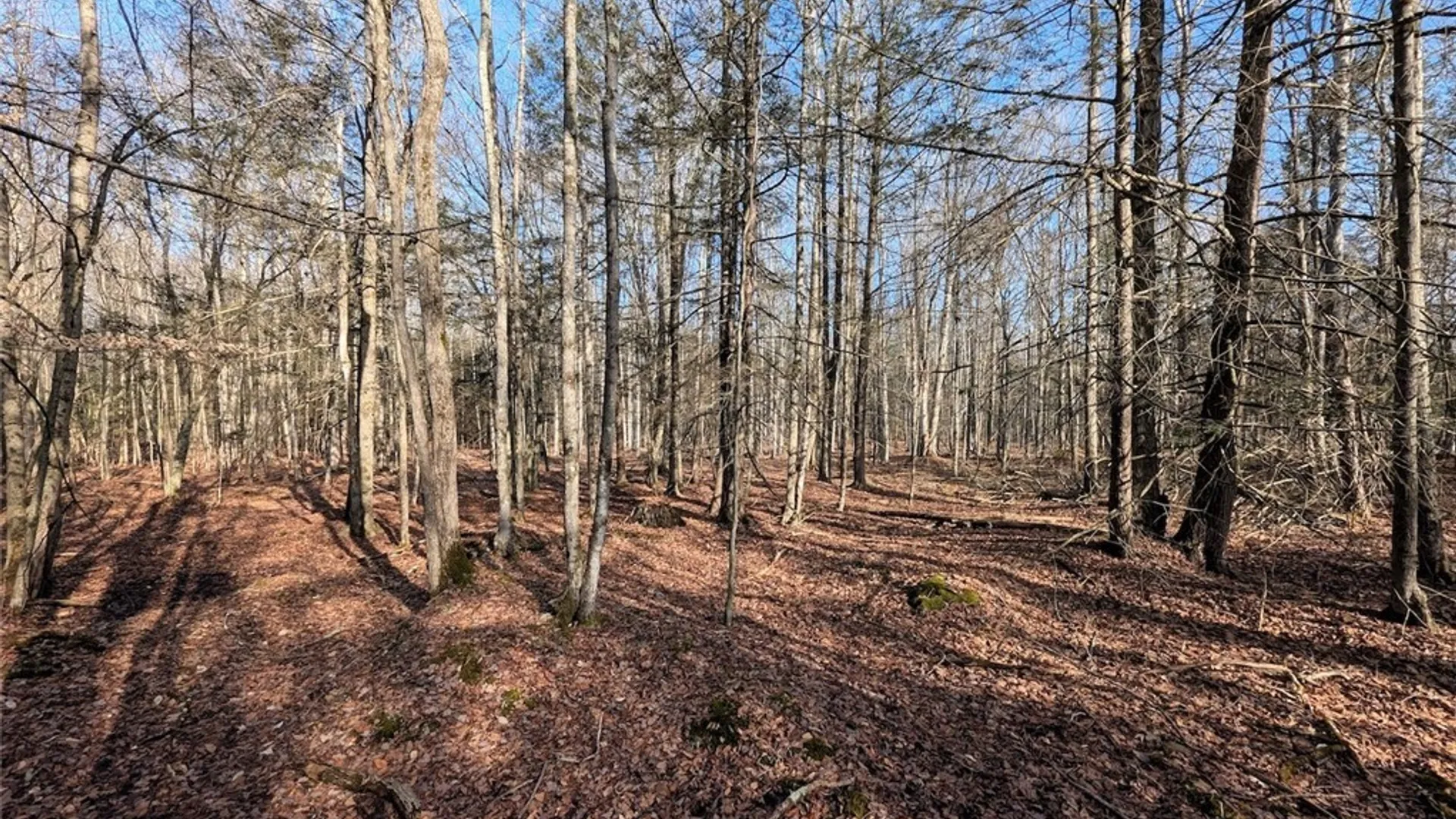 Property at South Road, Rathbone, NY 14801 9