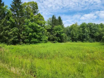 Property at 0 School St, Findley Lake, NY 14736