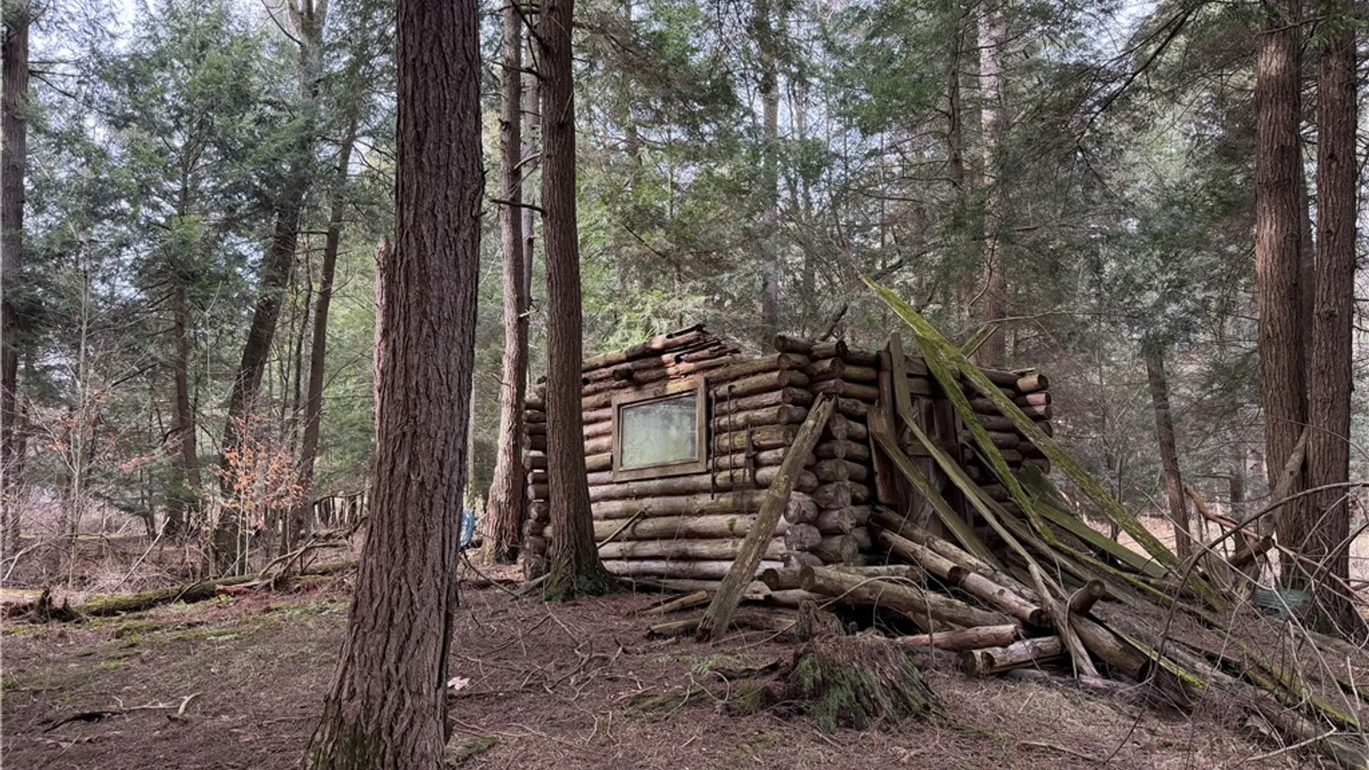 Property at 0 Decamp Lane, Tyrone, NY 14887 10