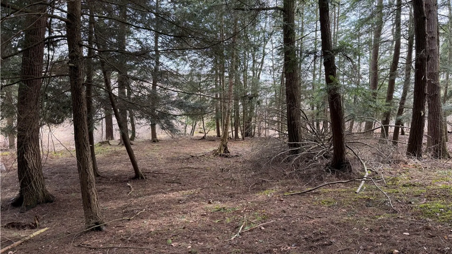 Property at 0 Decamp Lane, Tyrone, NY 14887 11