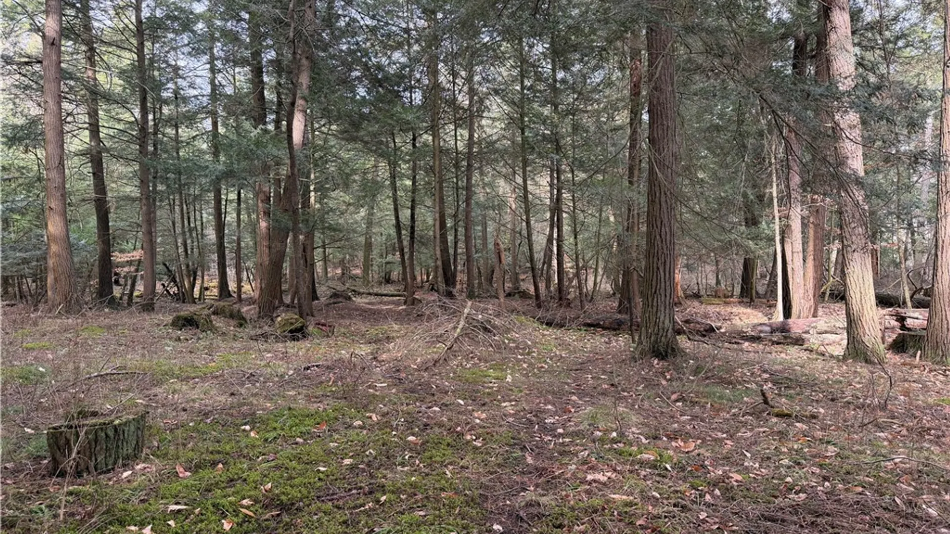 Property at 0 Decamp Lane, Tyrone, NY 14887 13