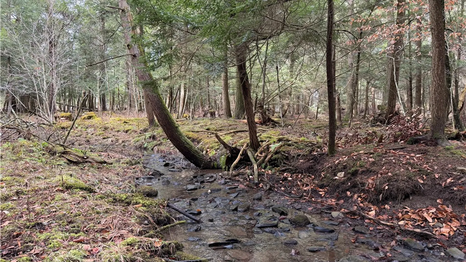 Property at 0 Decamp Lane, Tyrone, NY 14887 14