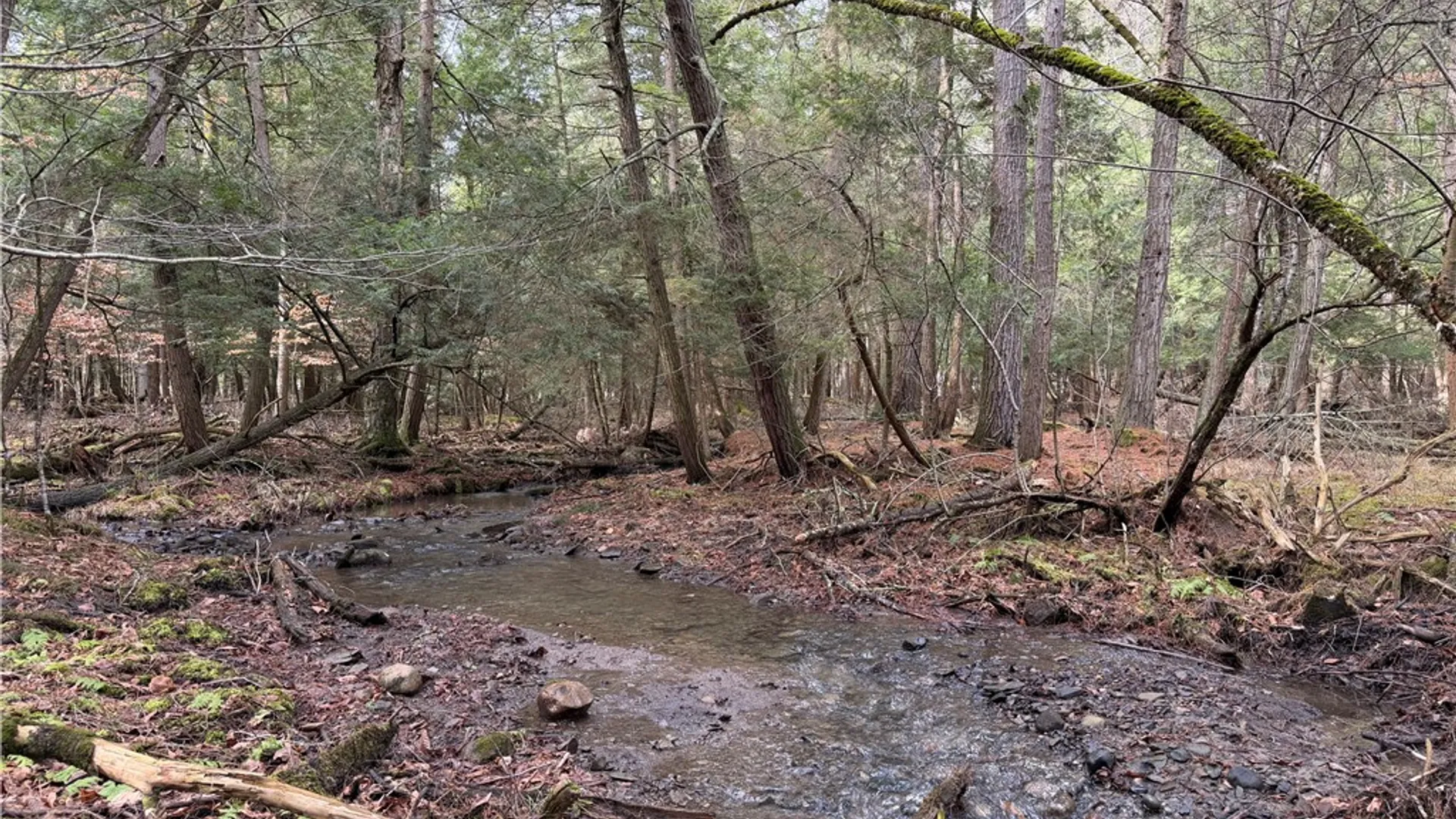 Property at 0 Decamp Lane, Tyrone, NY 14887 15