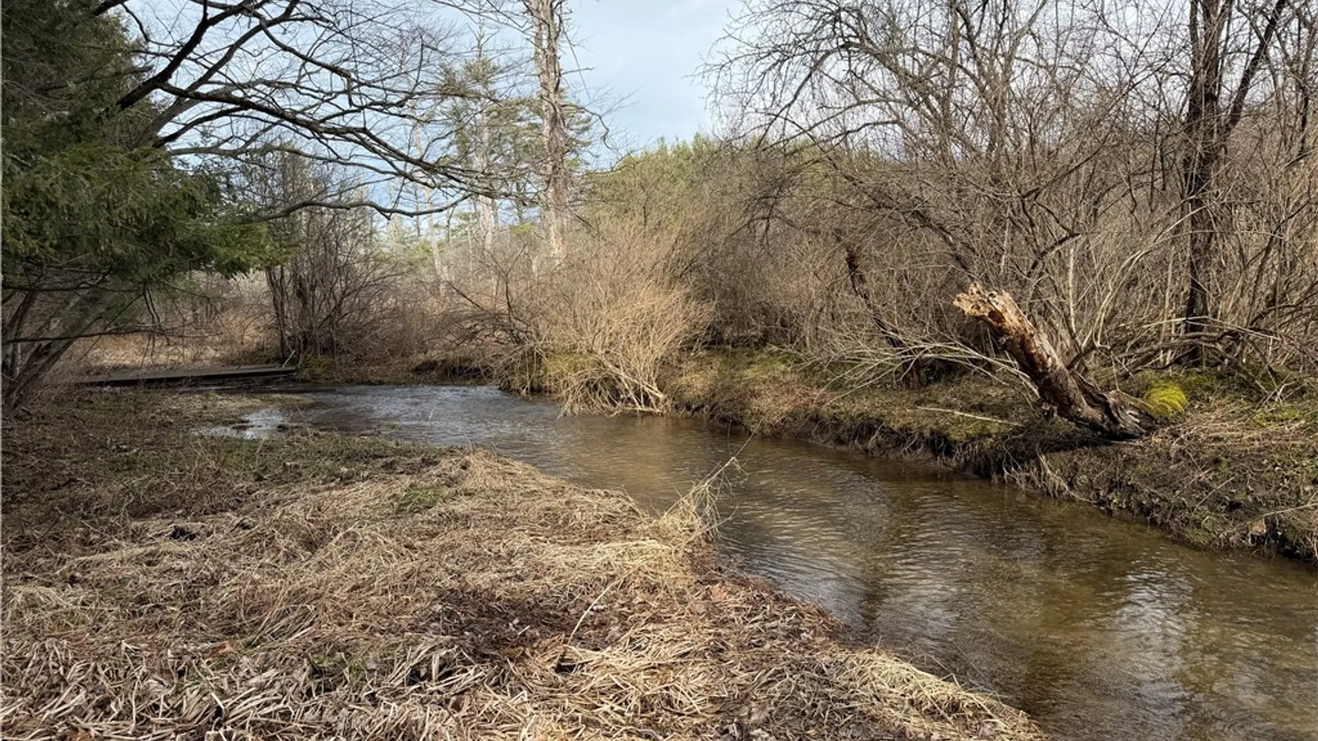 Property at 0 Decamp Lane, Tyrone, NY 14887 17