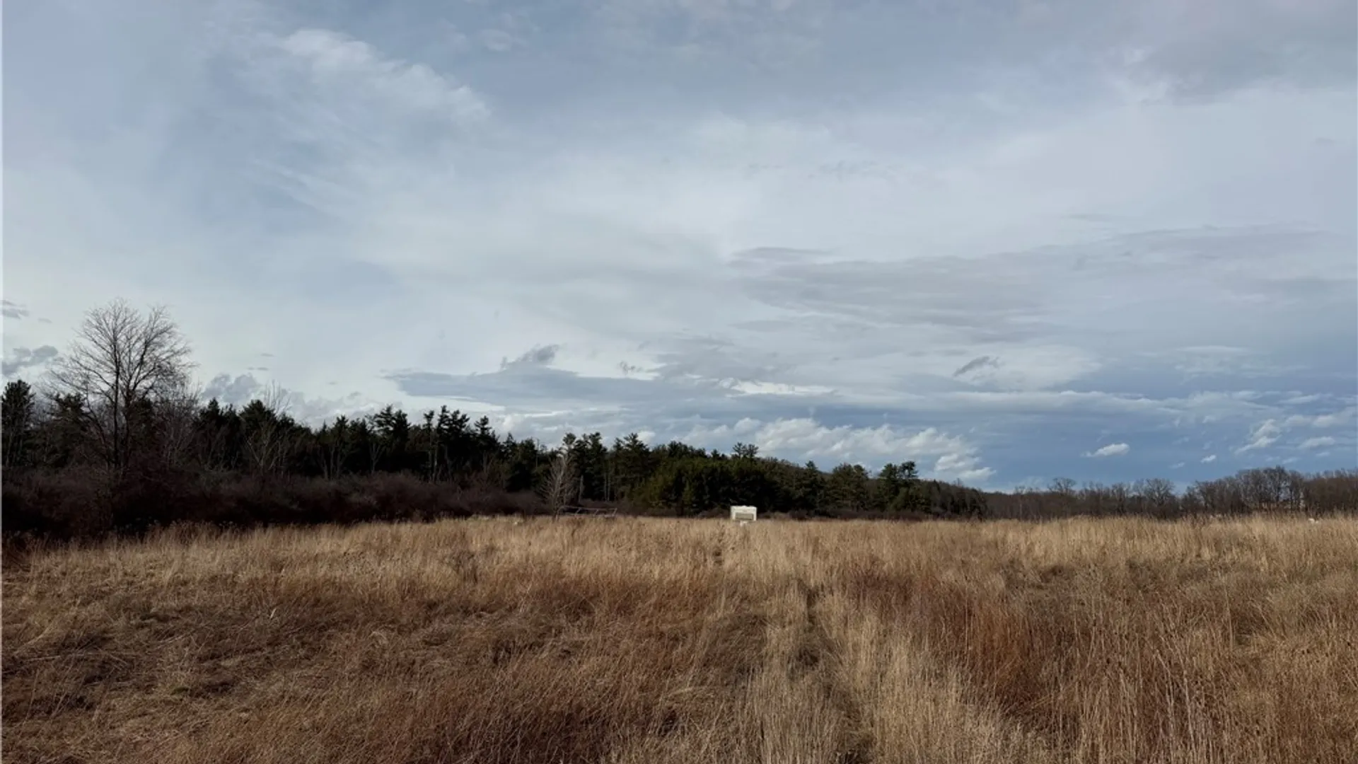 Property at 0 Decamp Lane, Tyrone, NY 14887 18