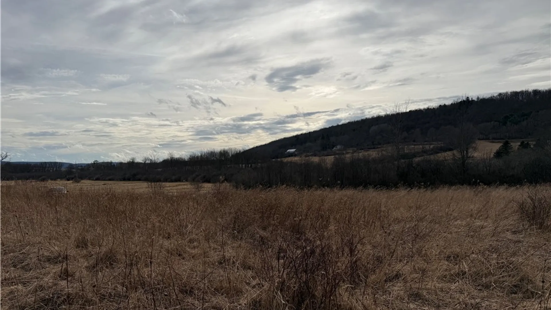 Property at 0 Decamp Lane, Tyrone, NY 14887 2