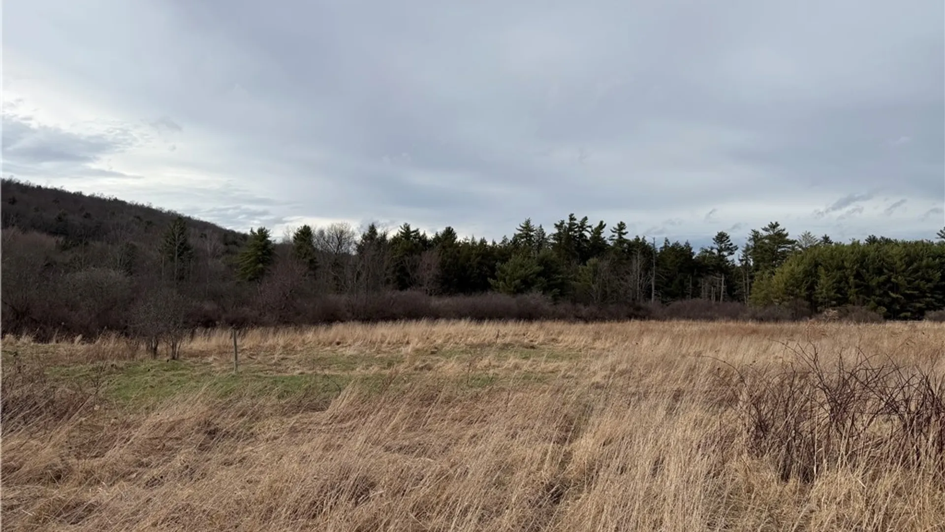 Property at 0 Decamp Lane, Tyrone, NY 14887 5