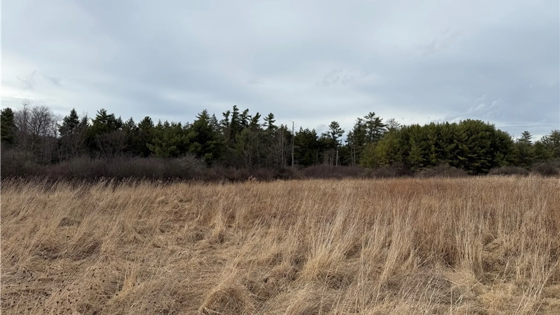 Property at 0 Decamp Lane, Tyrone, NY 14887 6