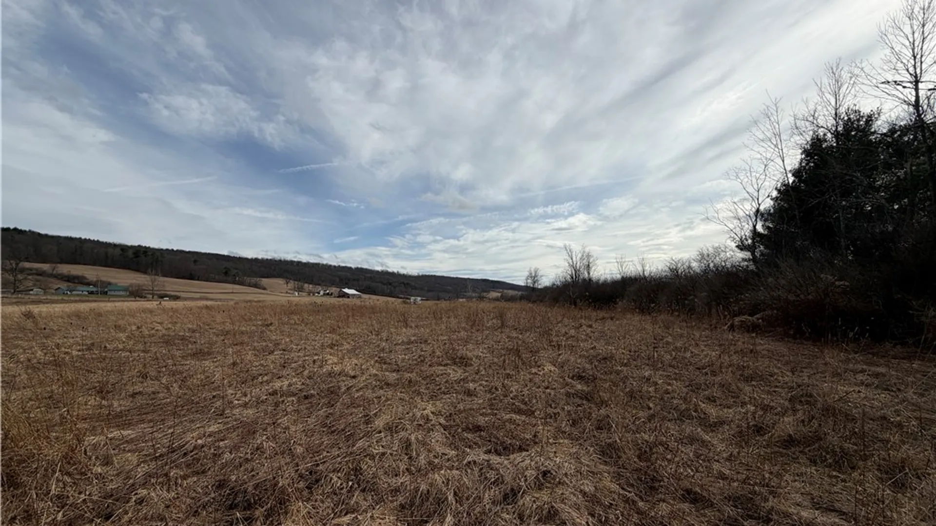 Property at 0 Decamp Lane, Tyrone, NY 14887 7