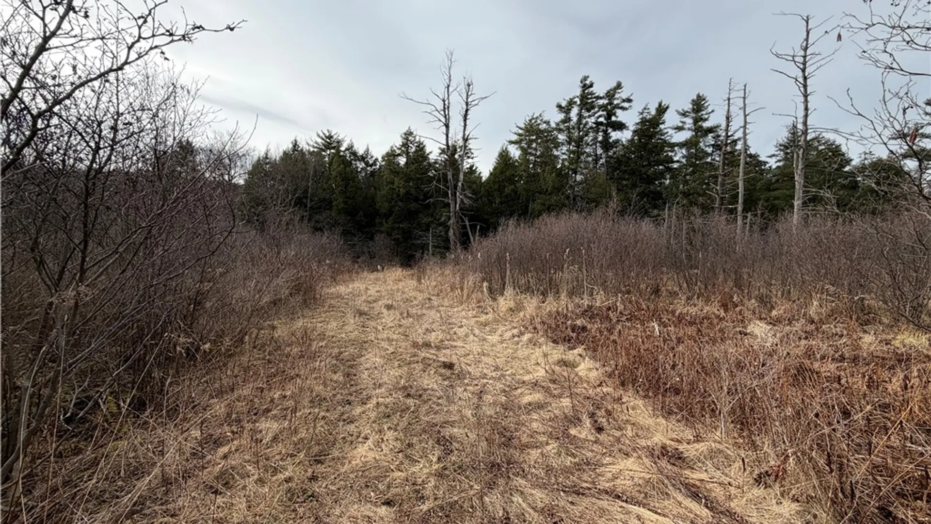 Property at 0 Decamp Lane, Tyrone, NY 14887 8