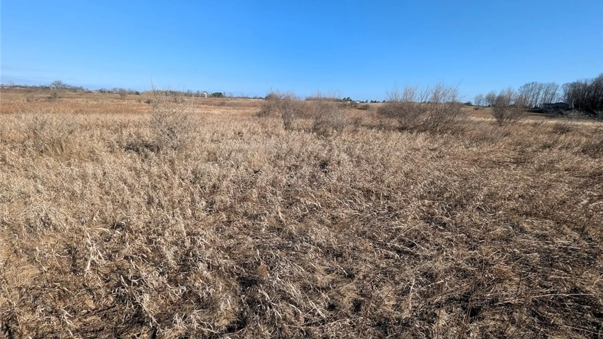 Property at South Road, Rathbone, NY 14801 10