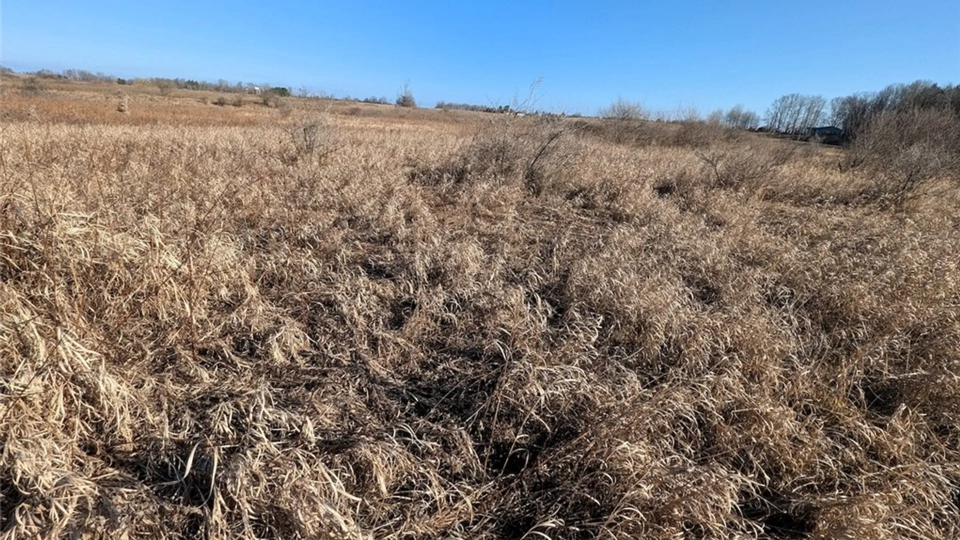 Property at South Road, Rathbone, NY 14801 11