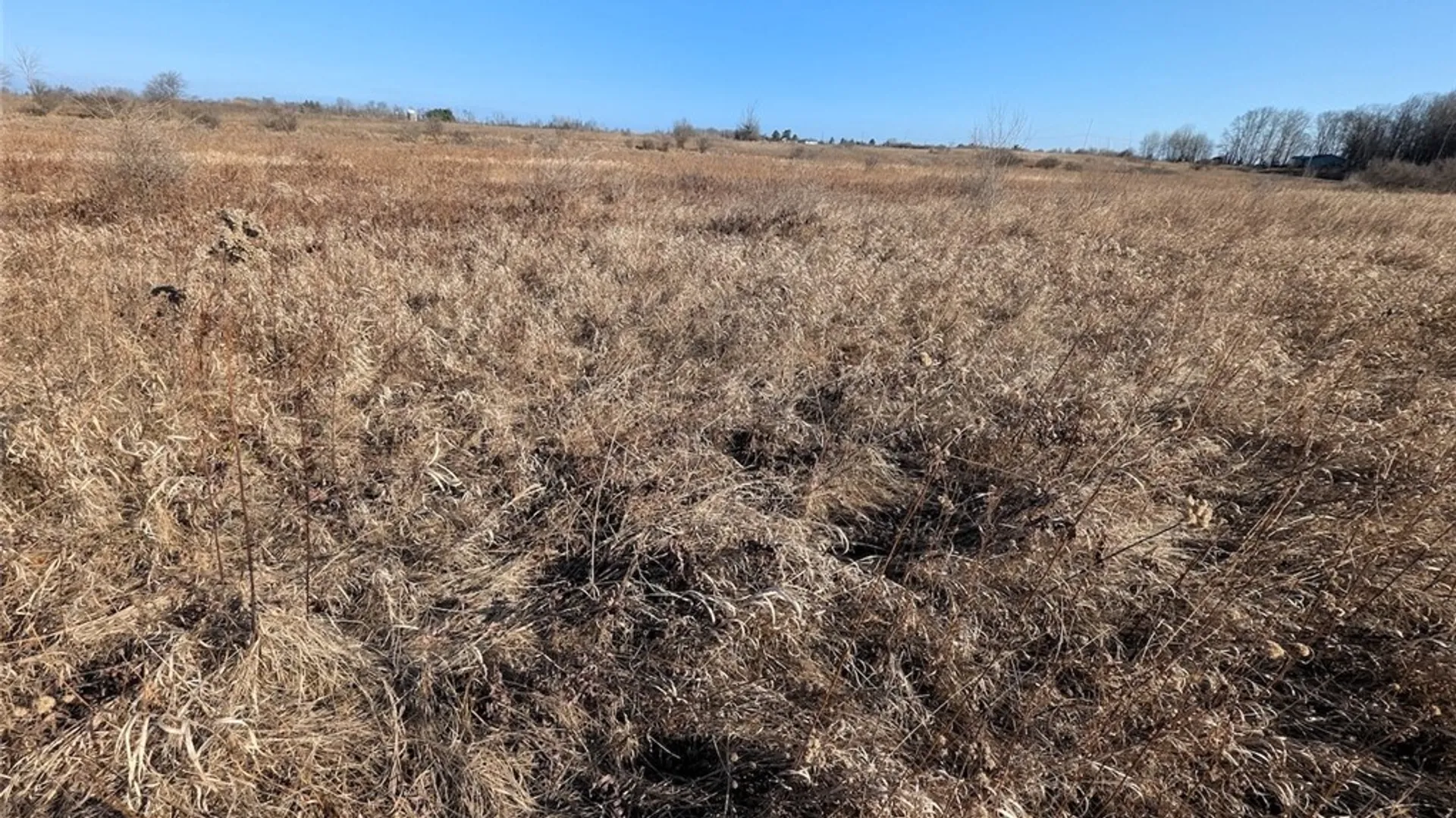 Property at South Road, Rathbone, NY 14801 12