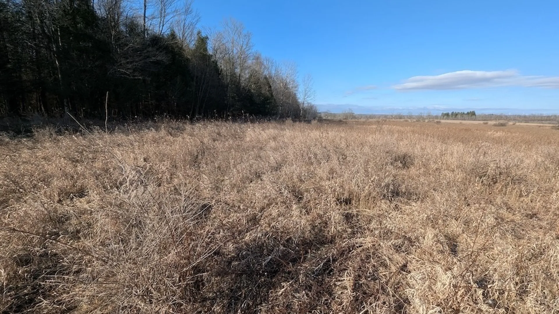 Property at South Road, Rathbone, NY 14801 13