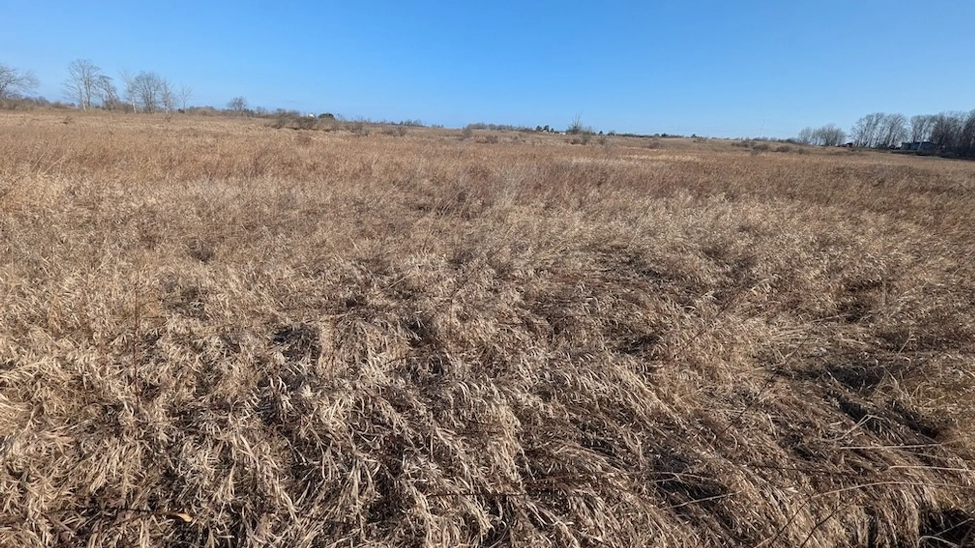 Property at South Road, Rathbone, NY 14801 14