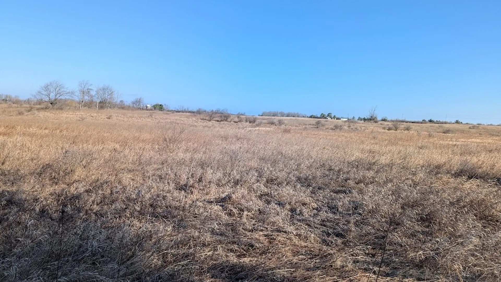 Property at South Road, Rathbone, NY 14801 15