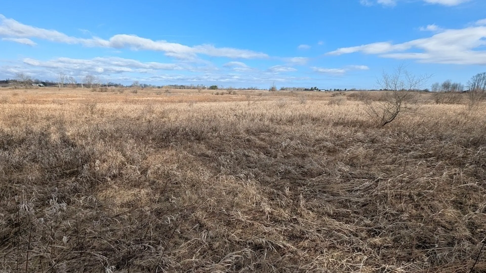 Property at South Road, Rathbone, NY 14801 17