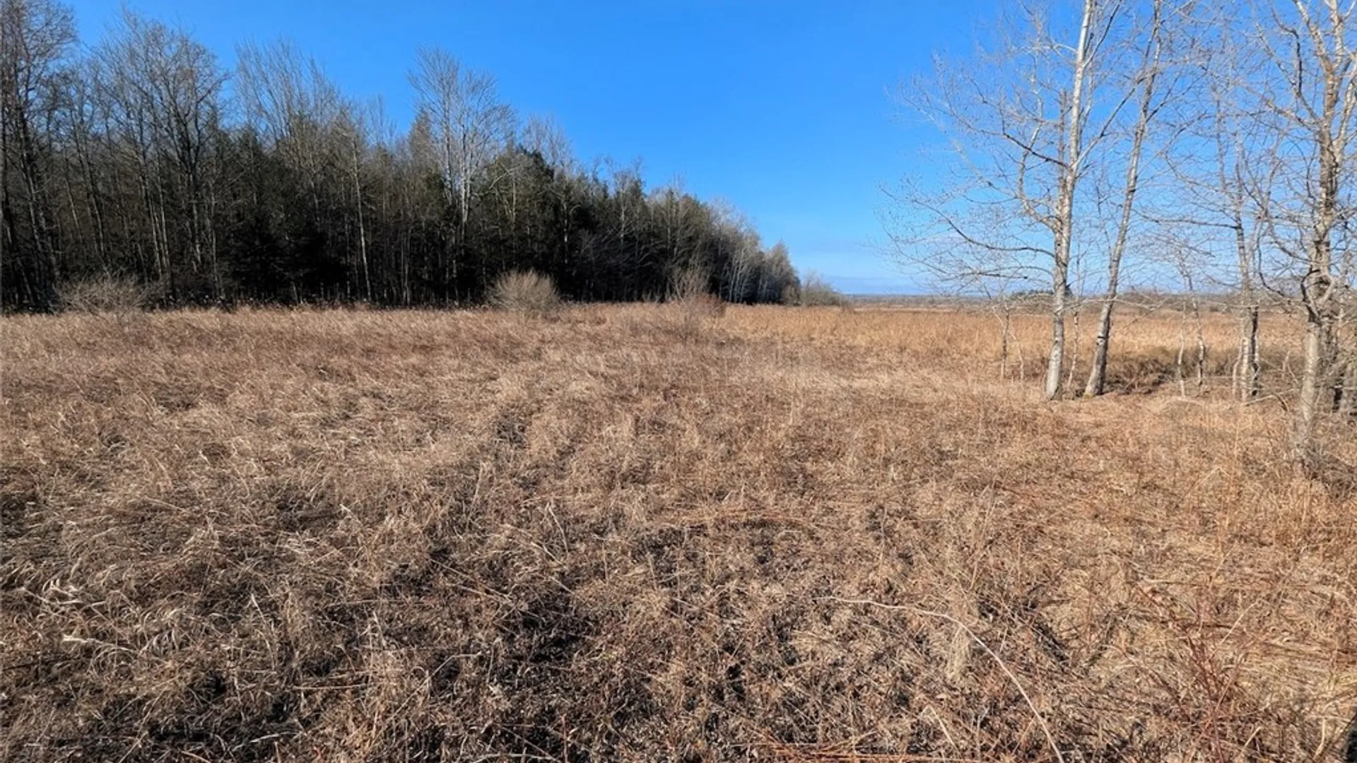 Property at South Road, Rathbone, NY 14801 7