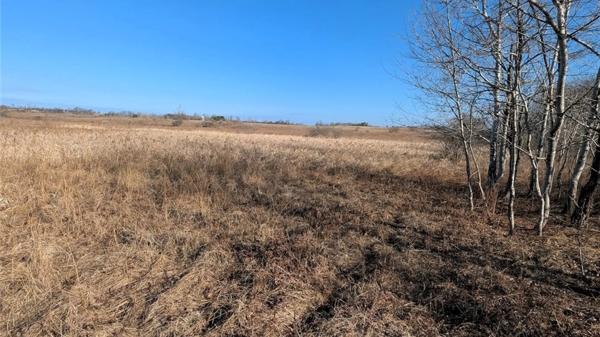 Property at South Road, Rathbone, NY 14801 8