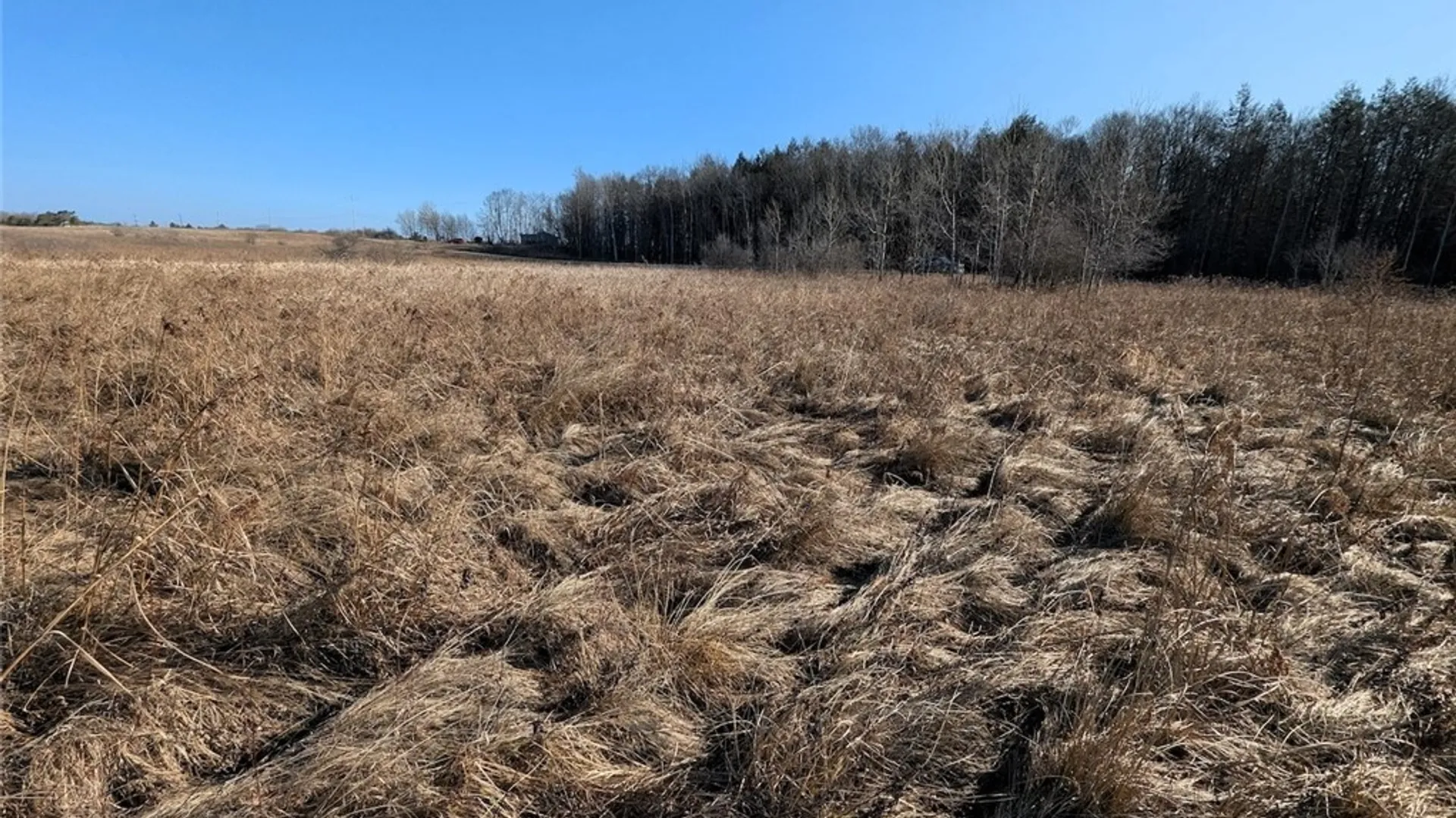 Property at South Road, Rathbone, NY 14801 9