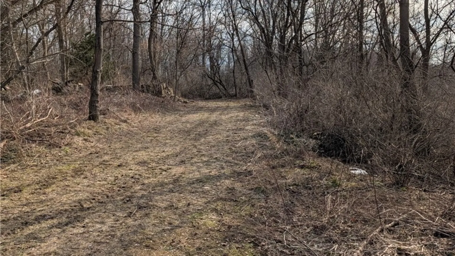 Property at 704 Bell Road, Victory, NY 13143 17