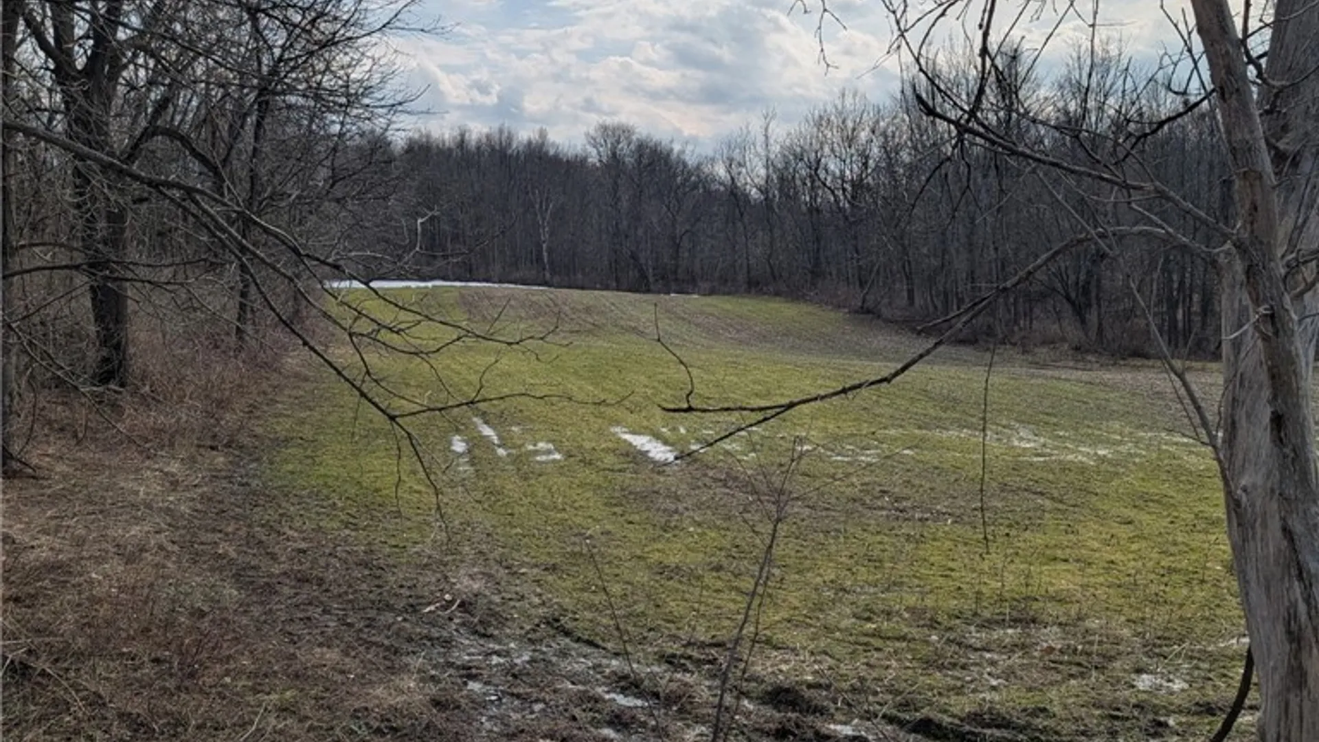 Property at 704 Bell Road, Victory, NY 13143 2