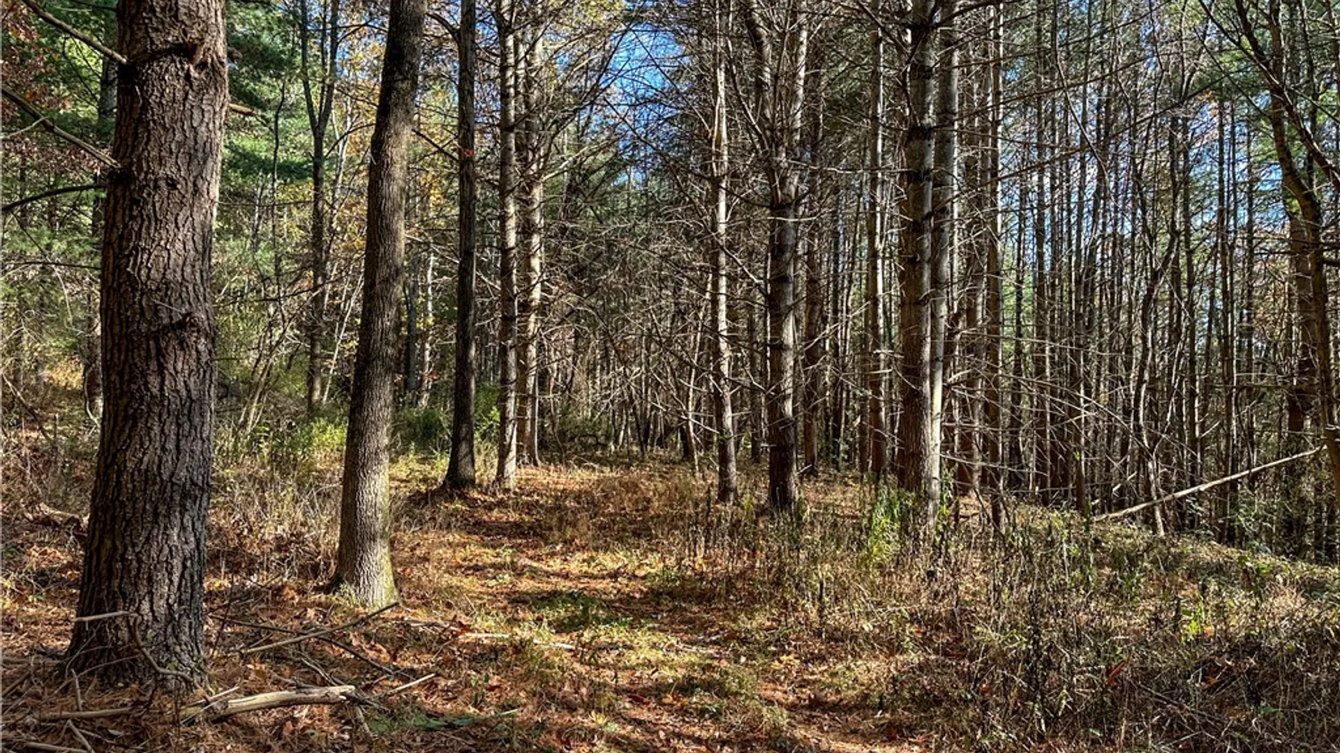 Property at VL Lot 1 County Route 119, Canisteo, NY 14823 10
