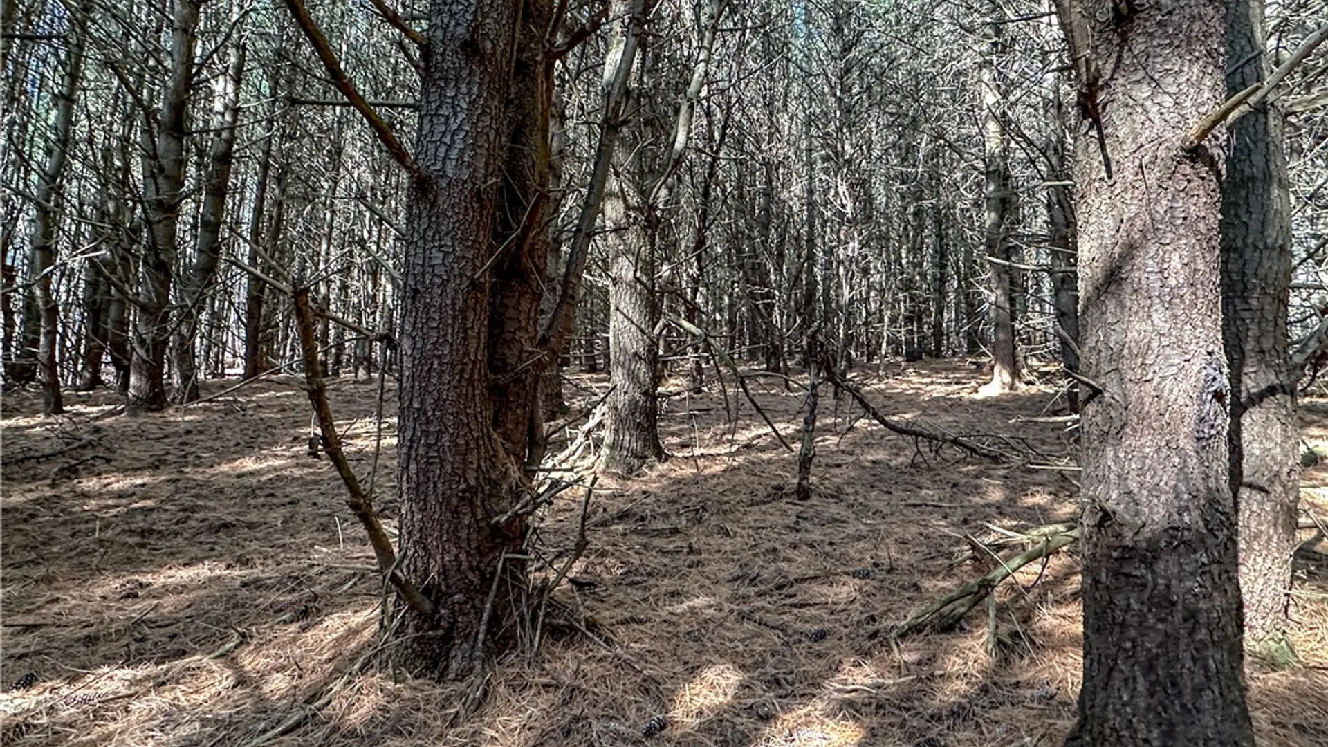 Property at VL Lot 1 County Route 119, Canisteo, NY 14823 11