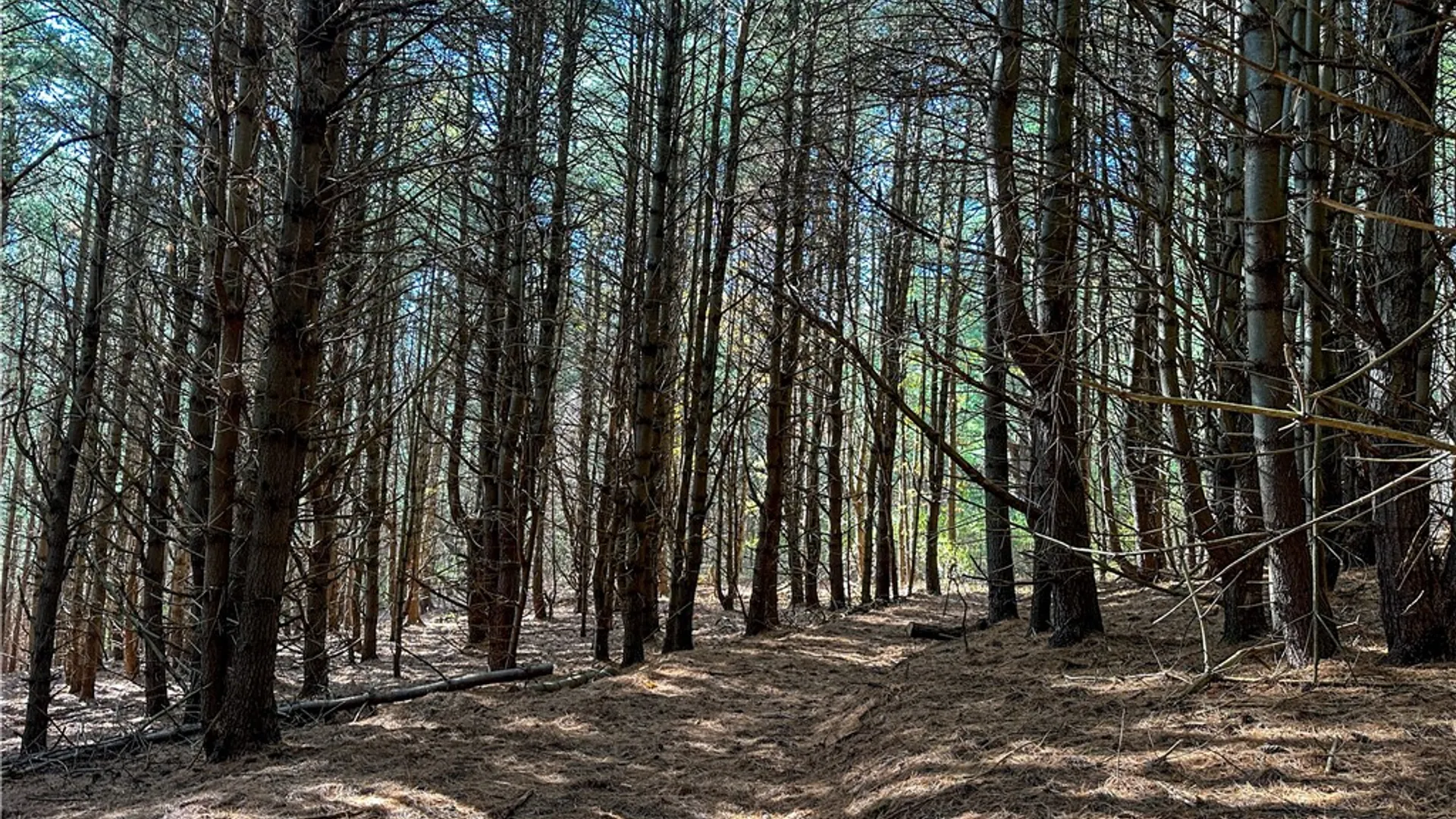 Property at VL Lot 1 County Route 119, Canisteo, NY 14823 12