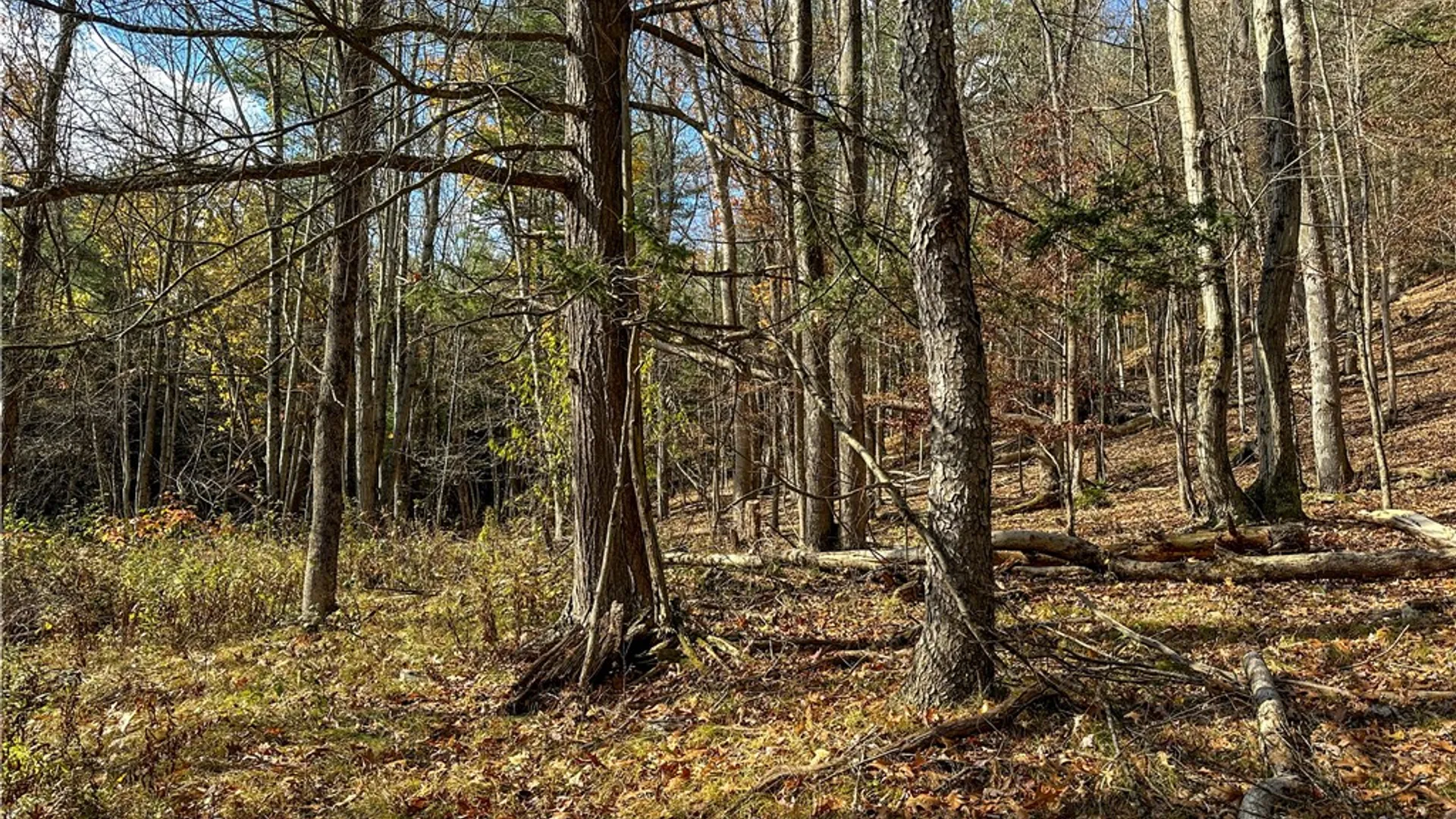 Property at VL Lot 1 County Route 119, Canisteo, NY 14823 13