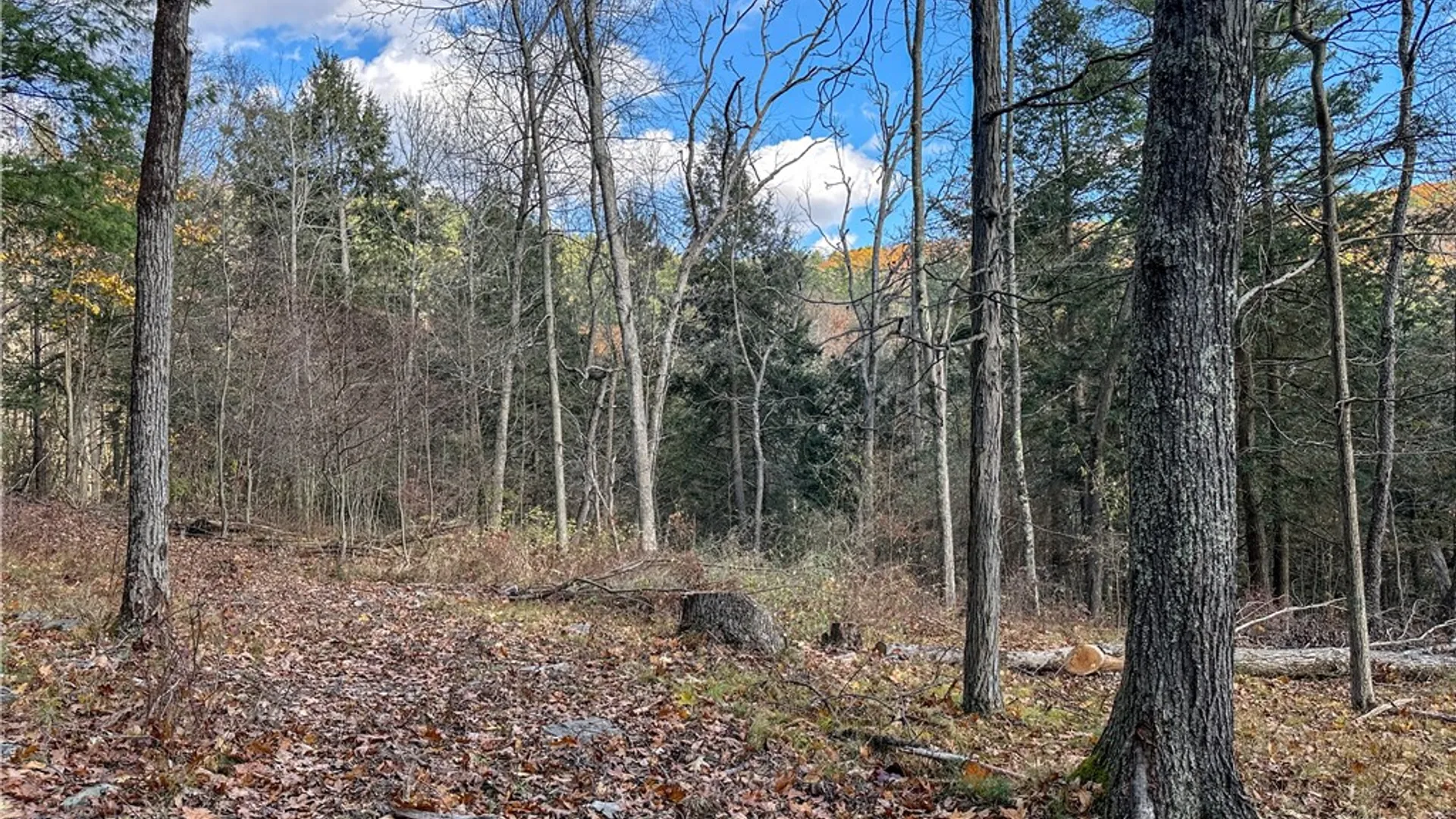 Property at VL Lot 1 County Route 119, Canisteo, NY 14823 14