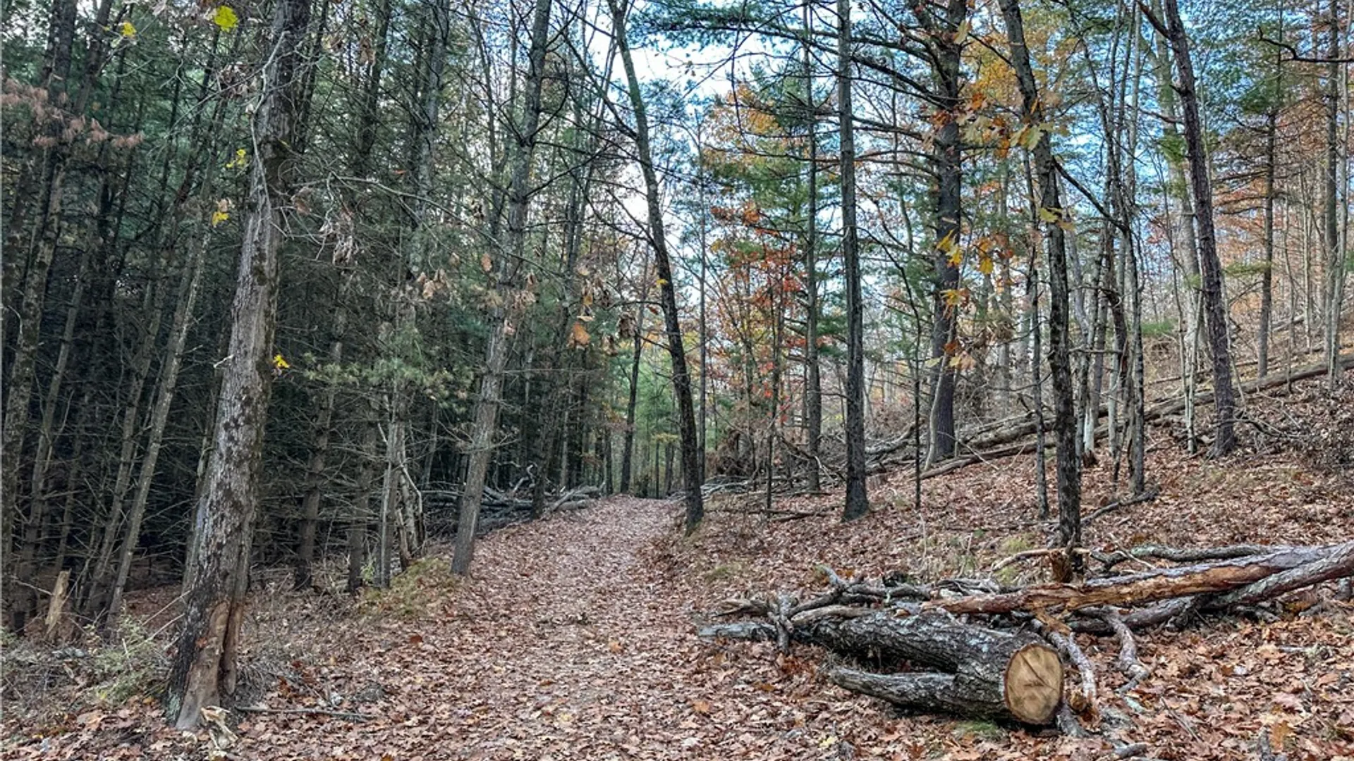 Property at VL Lot 1 County Route 119, Canisteo, NY 14823 15