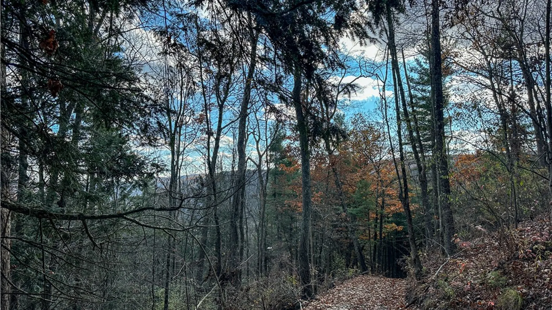 Property at VL Lot 1 County Route 119, Canisteo, NY 14823 16