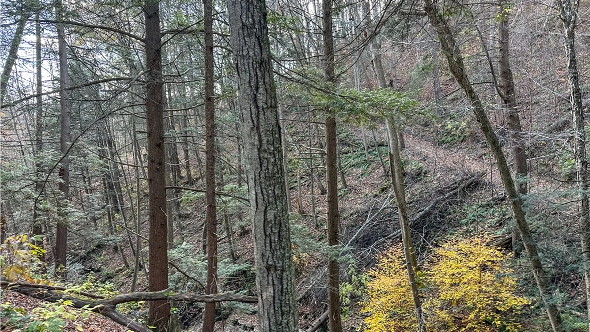 Property at VL Lot 1 County Route 119, Canisteo, NY 14823 17