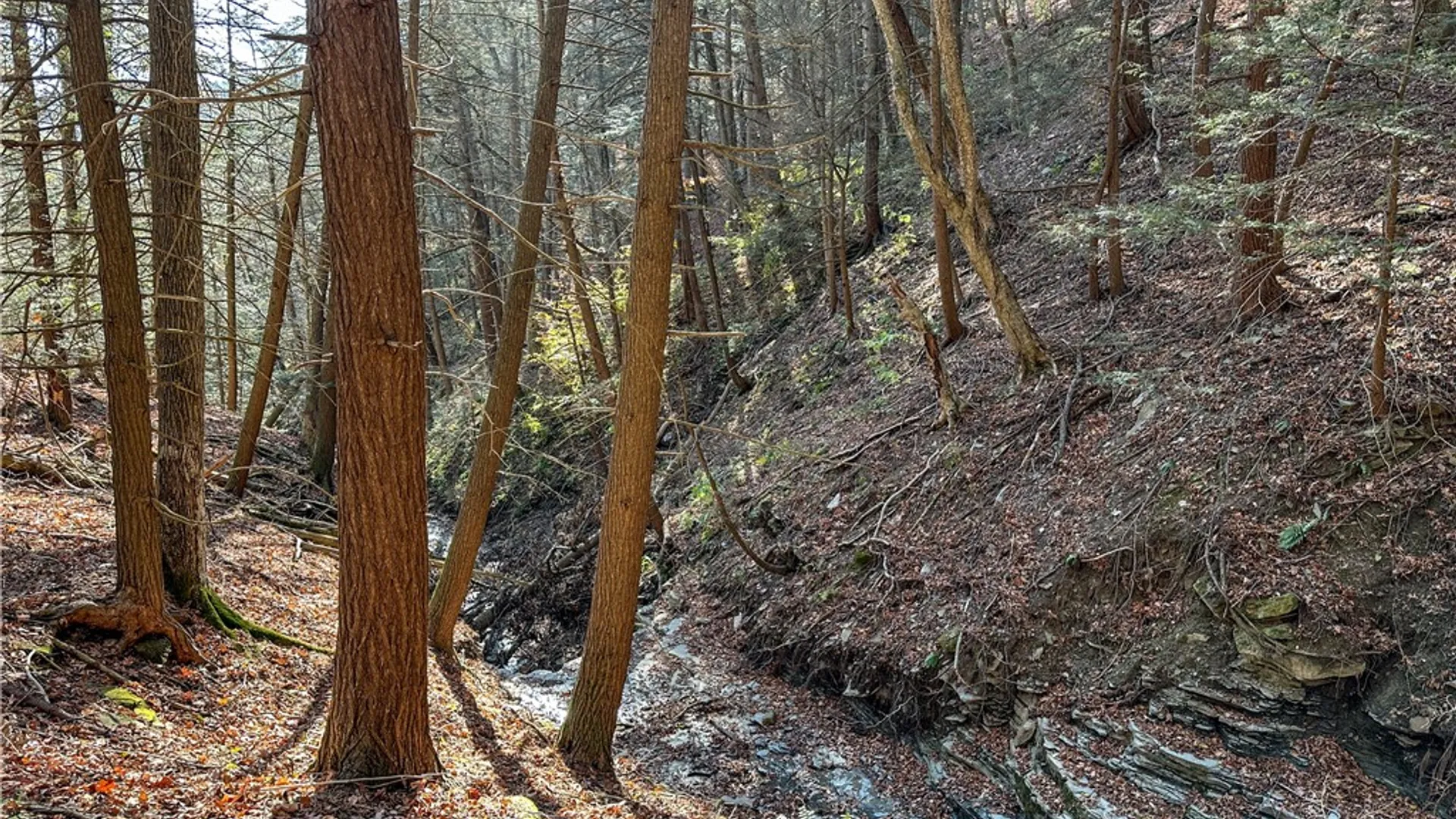 Property at VL Lot 1 County Route 119, Canisteo, NY 14823 18