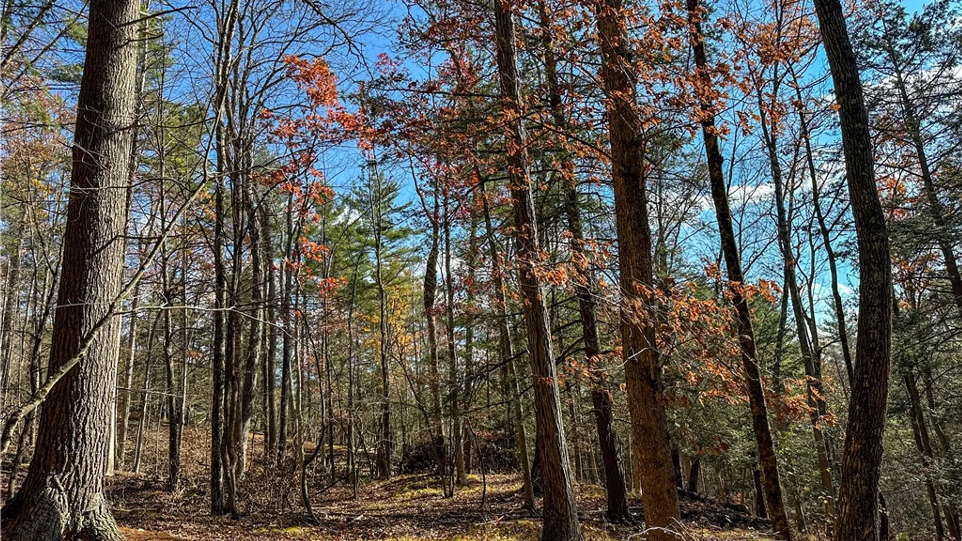 Property at VL Lot 1 County Route 119, Canisteo, NY 14823 19