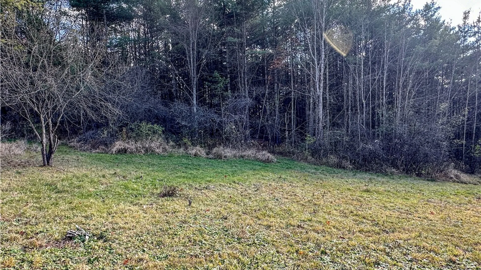 Property at VL Lot 1 County Route 119, Canisteo, NY 14823 22