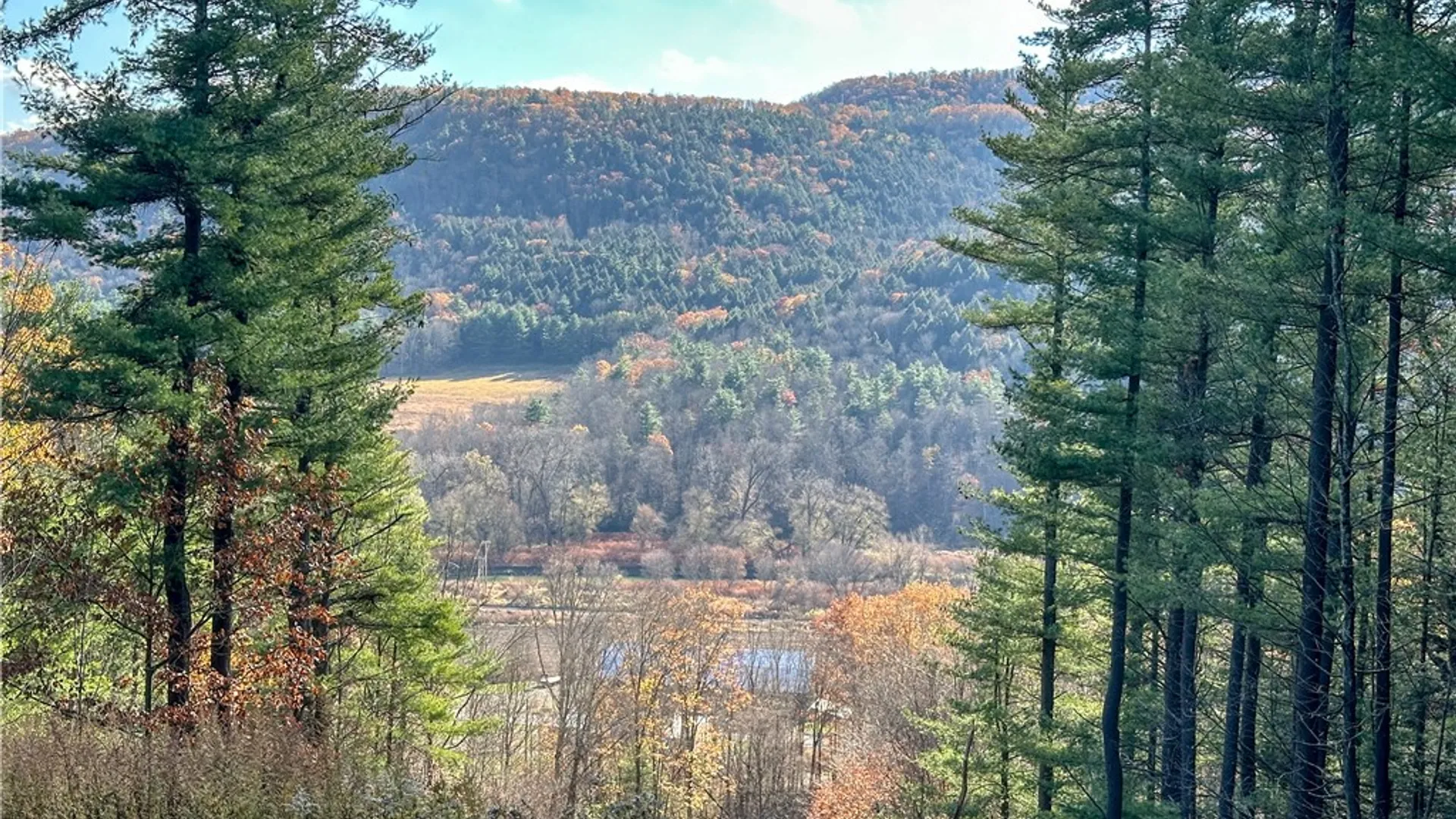 Property at VL Lot 1 County Route 119, Canisteo, NY 14823 26
