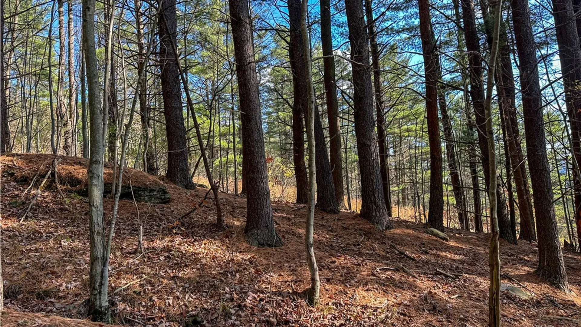 Property at VL Lot 1 County Route 119, Canisteo, NY 14823 27