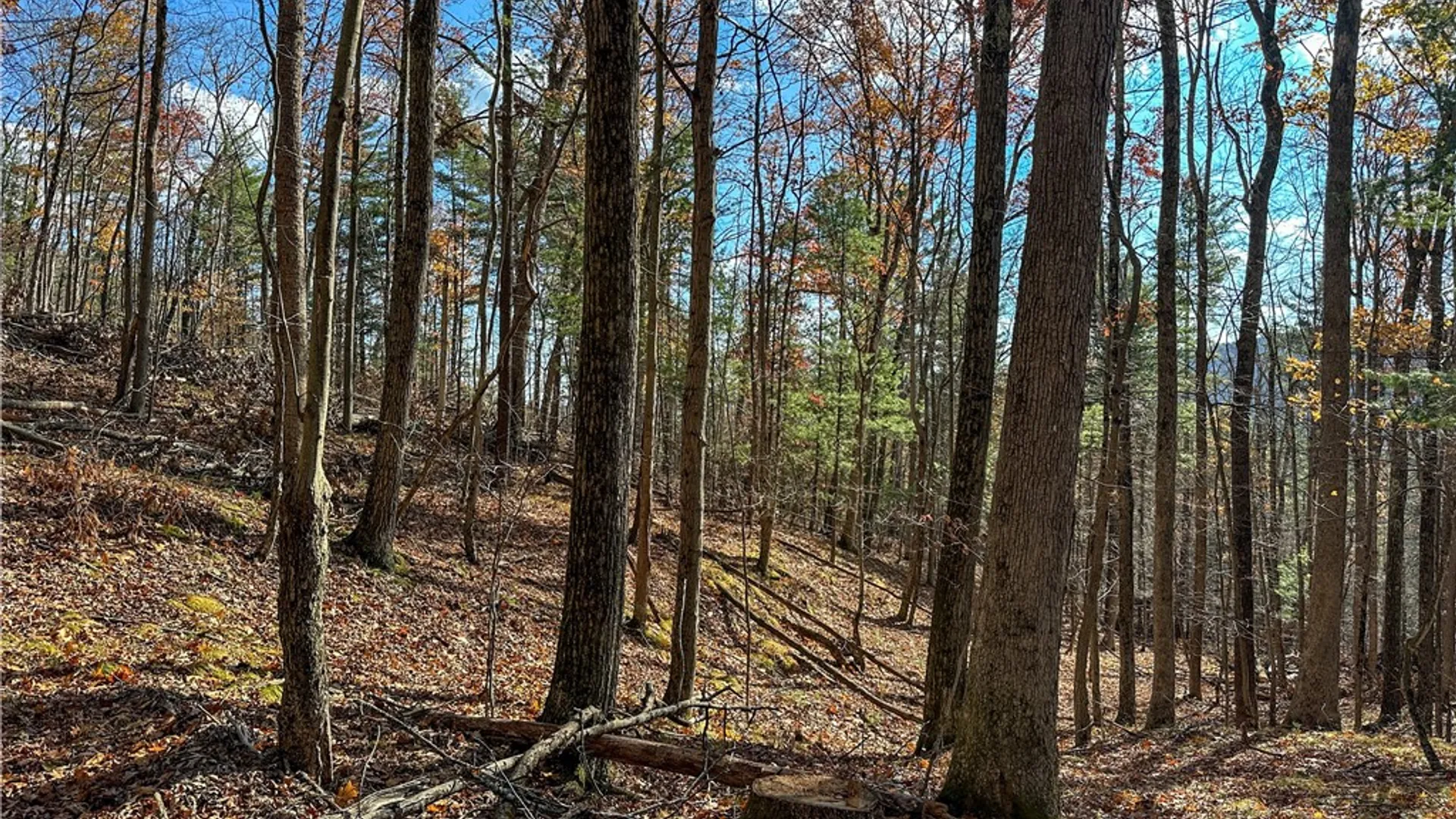 Property at VL Lot 1 County Route 119, Canisteo, NY 14823 28