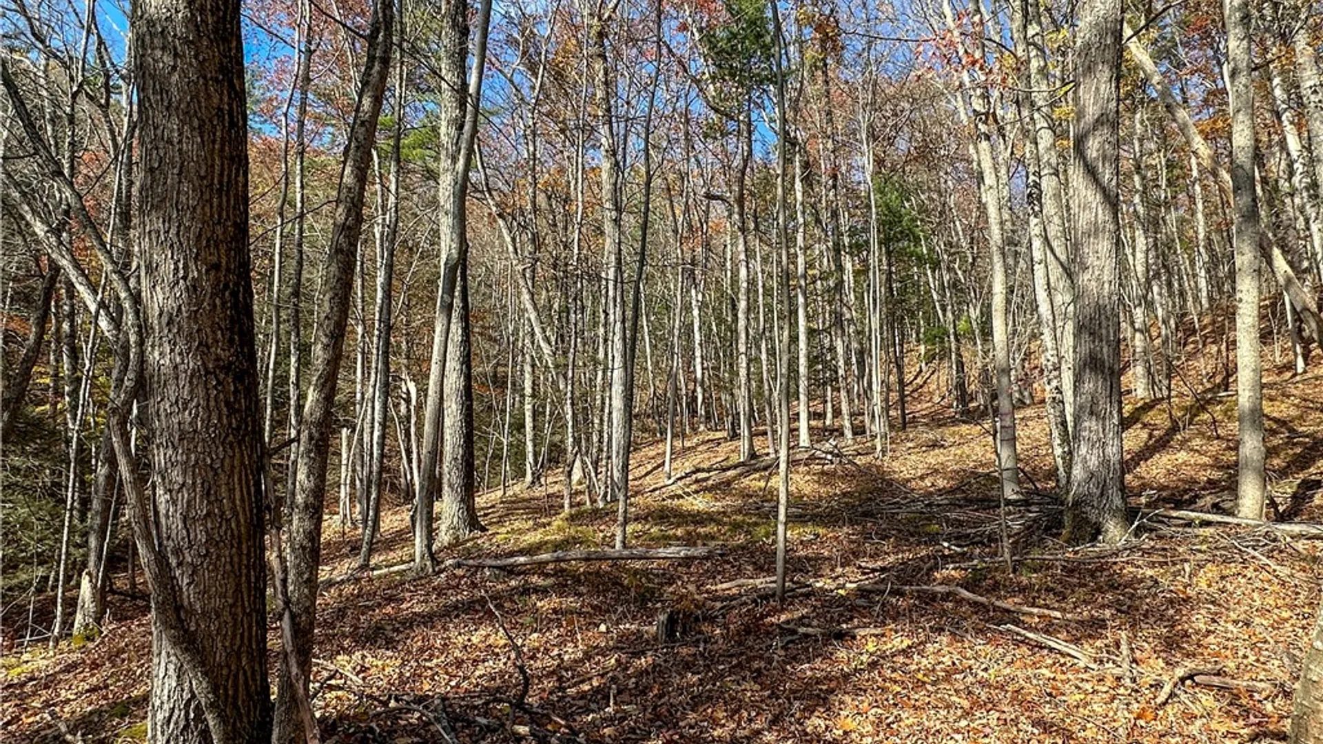Property at VL Lot 1 County Route 119, Canisteo, NY 14823 29