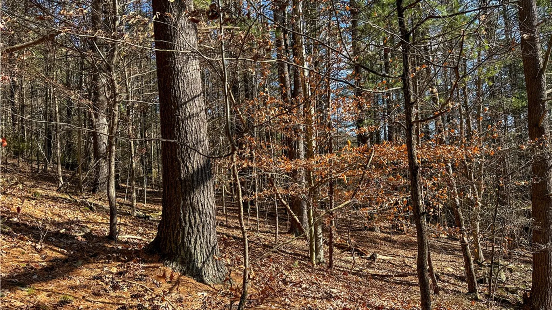Property at VL Lot 1 County Route 119, Canisteo, NY 14823 30
