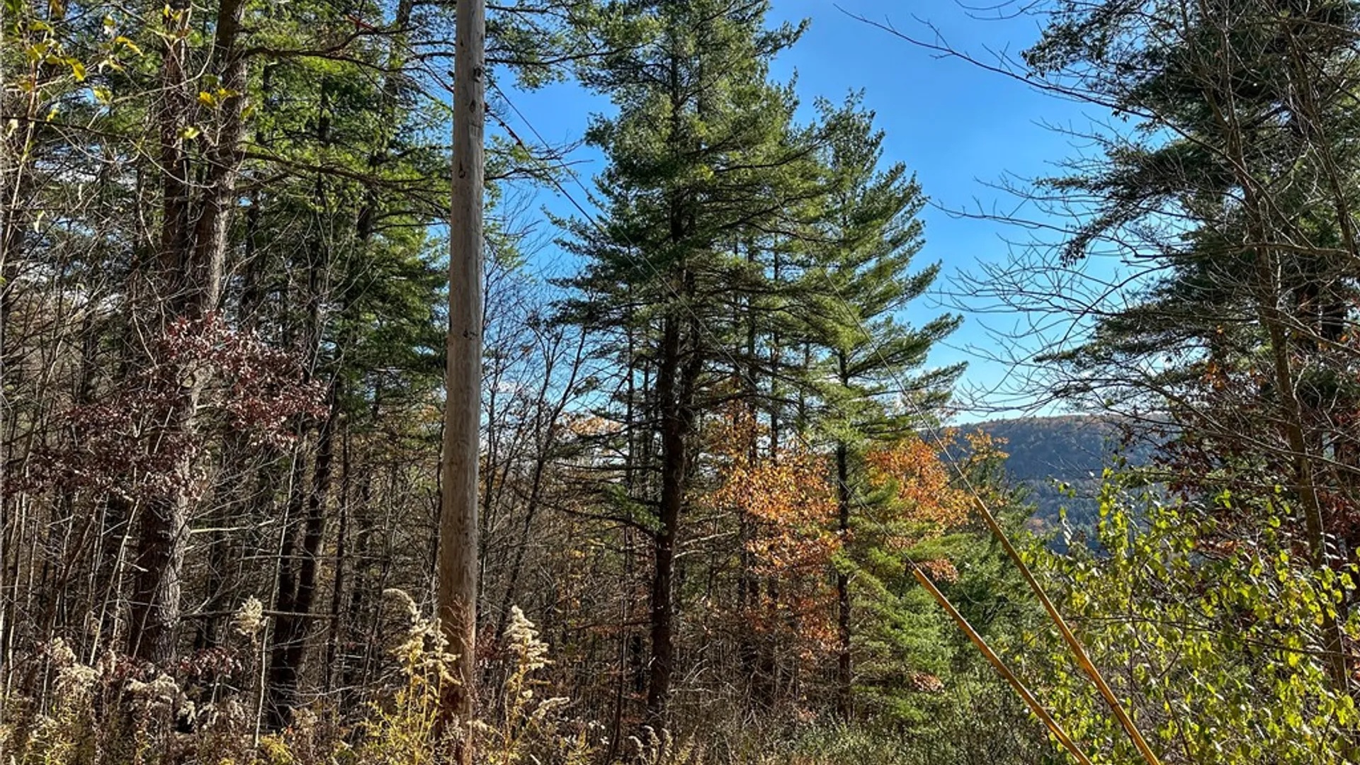 Property at VL Lot 1 County Route 119, Canisteo, NY 14823 32