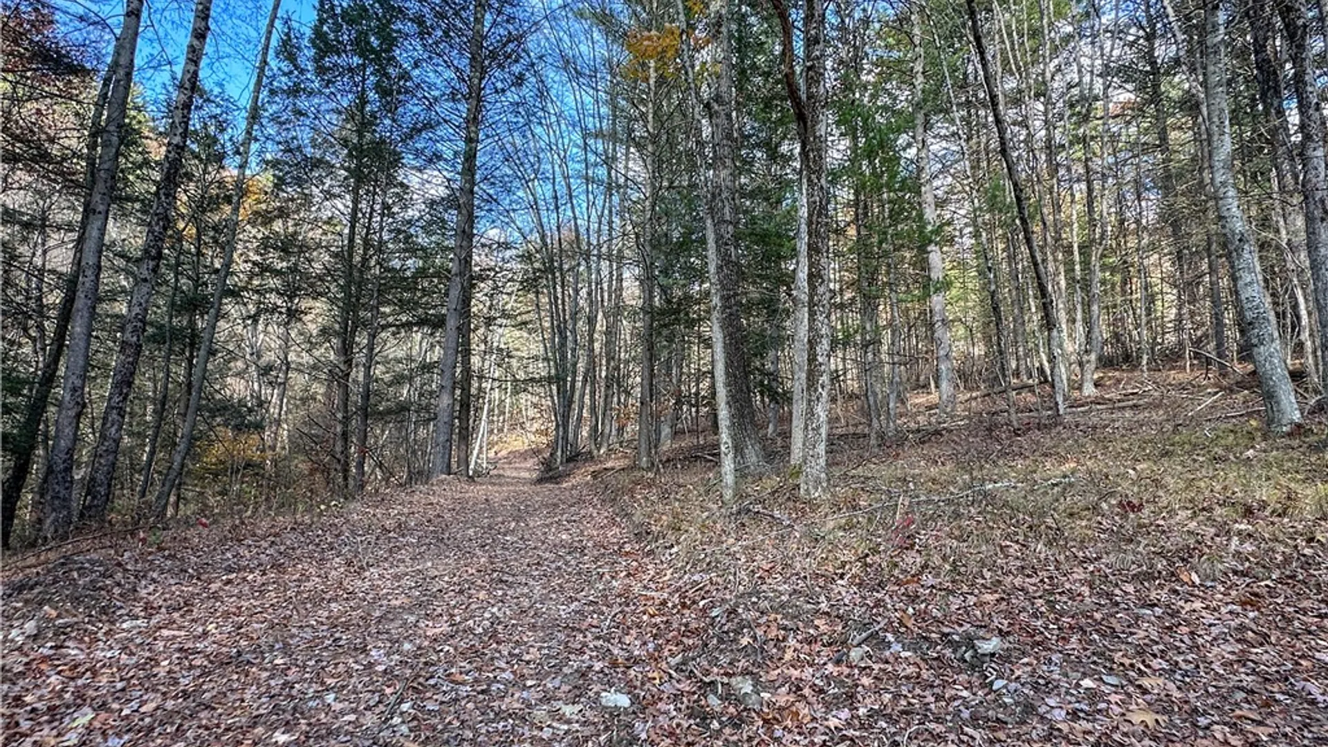Property at VL Lot 1 County Route 119, Canisteo, NY 14823 34