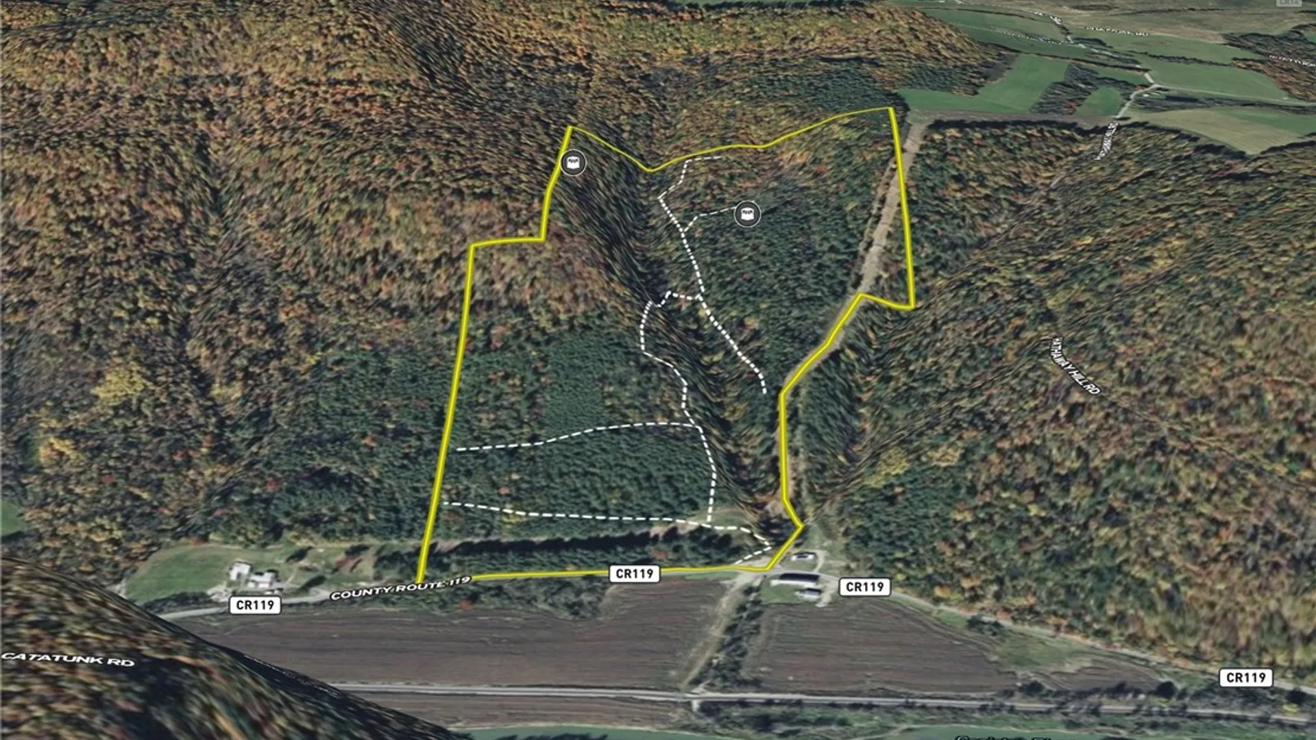 Property at VL Lot 1 County Route 119, Canisteo, NY 14823 39