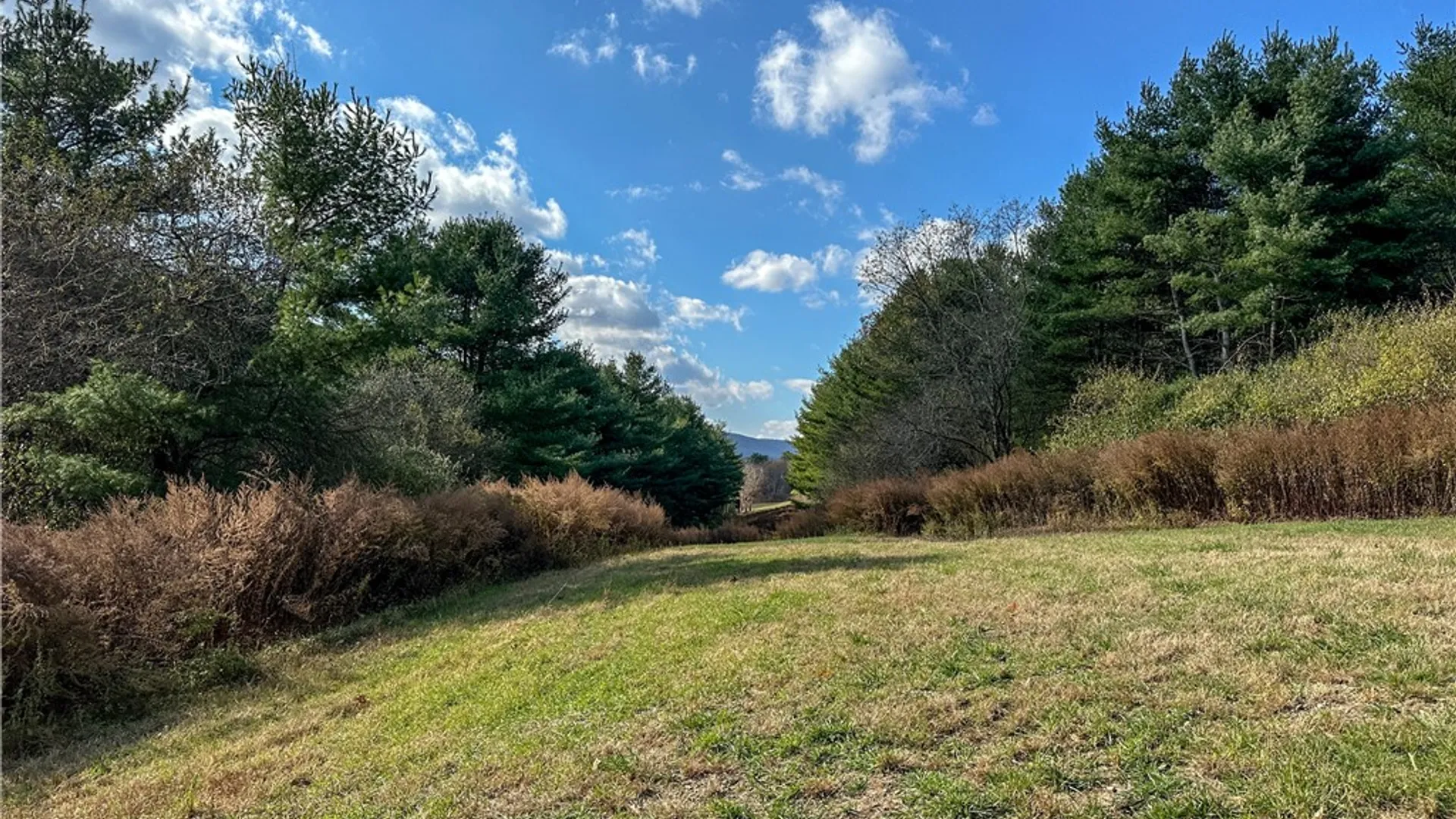 Property at VL Lot 1 County Route 119, Canisteo, NY 14823 5