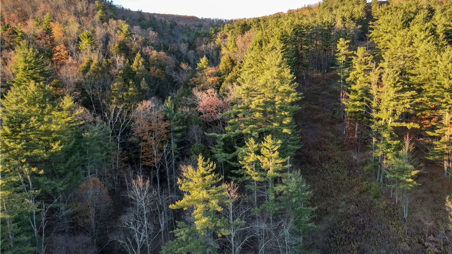 Property at VL Lot 1 County Route 119, Canisteo, NY 14823 7